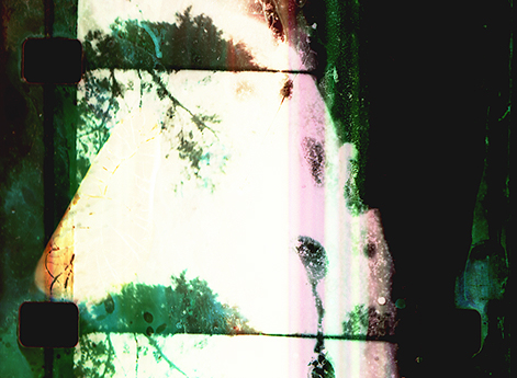 Nirvana Alchemy Film